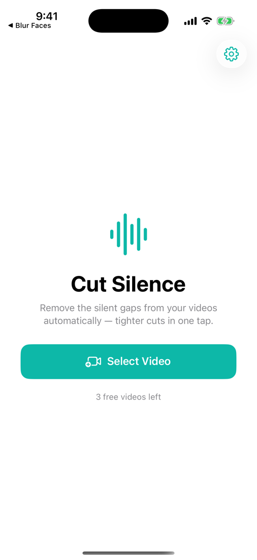 Cut Silence screenshot