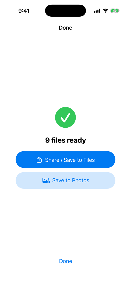 Converted files ready to save or share