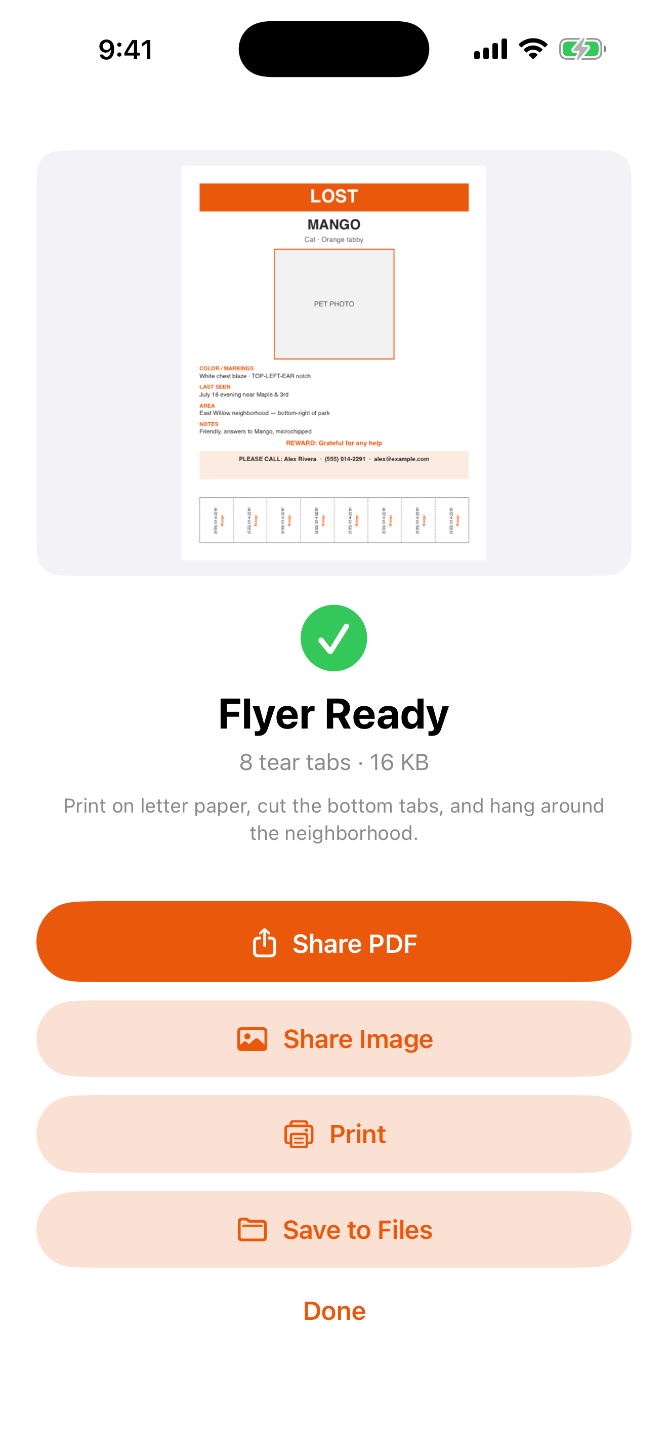 Findly lost pet flyer with tear-off tabs, ready to share or print