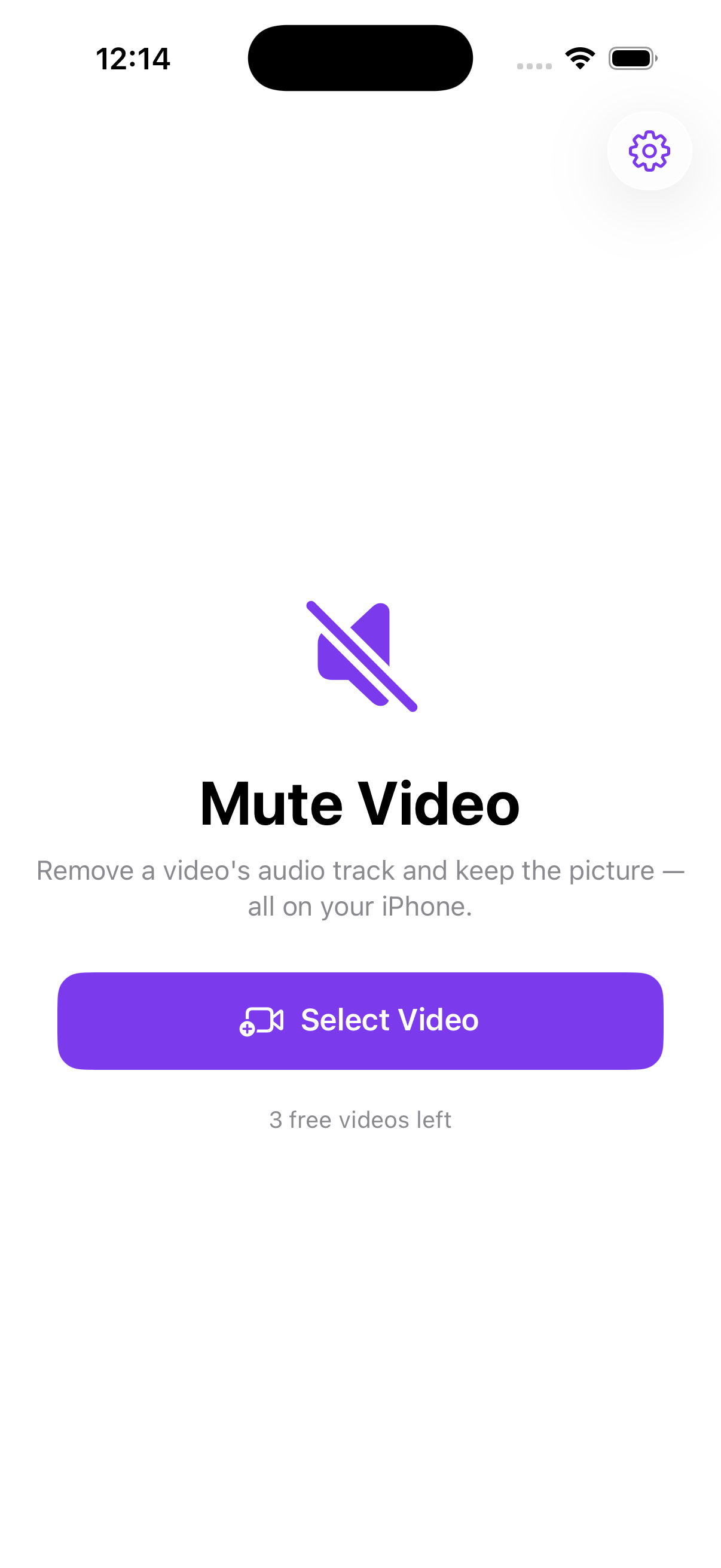 Mute Video screenshot