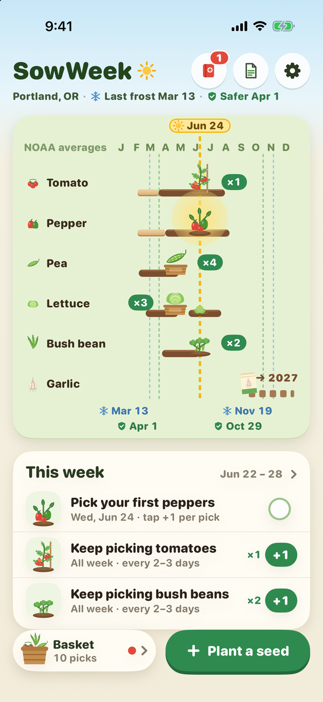 SowWeek in late June: tomato, pepper, pea, lettuce, bush bean and garlic rows with plants growing, pick counts, and this week's jobs